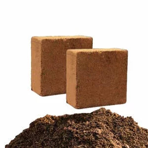 Cocopeat